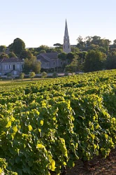Romans du terroir